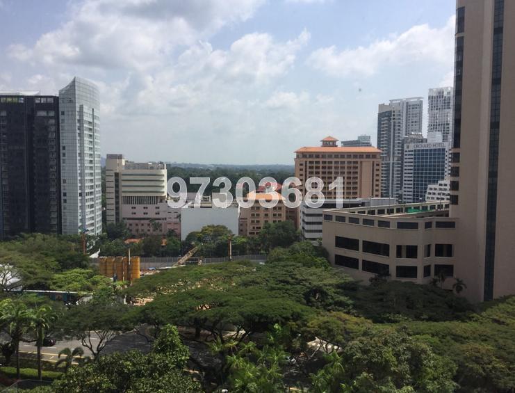 The Boulevard Residence (D10), Apartment #122775152
